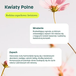 Attitude NATURE+, Płyn do mycia naczyń o zapachu polnych kwiatów, 700 ml