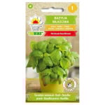 Bazylia właściwa nasiona TORAF 1g