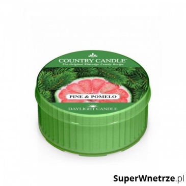 Country Candle - Pine & Pomelo - Daylight (35g)