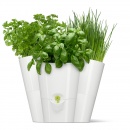 Doniczka na zioła potrójna EMSA Fresh Herbs biały