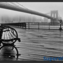 Fototapeta - A Foggy Day on the Brooklyn Bridge (300x210 cm)