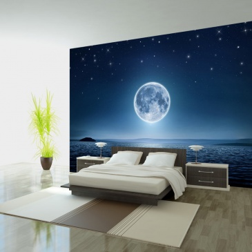 Fototapeta - Księżycowa noc (300x210 cm)