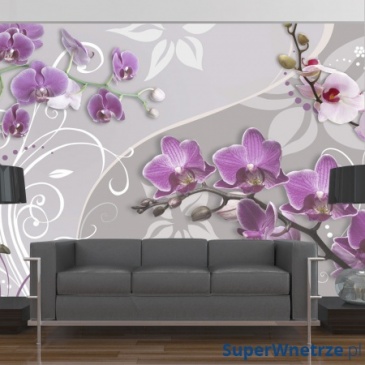 Fototapeta - Lot purpurowych orchidei (300x210 cm)