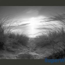 Fototapeta - plaża (czarno-biały) (300x210 cm)