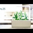 Inteligentna doniczka na zioła 12x30cm Smart Garden 3 Click and Grow ciemnoszara 4742793007229