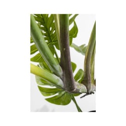 Kare roślina dekoracyjna monstera 110 cm