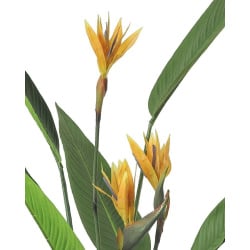 Kare roślina dekoracyjna paradise         flowers 190 cm