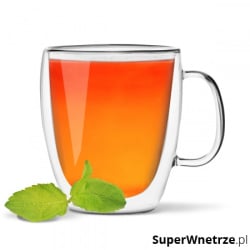 Kubek z podwójną ścianką Amo 480 ml