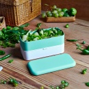 Lunchbox Bento Original, Green Lagoon