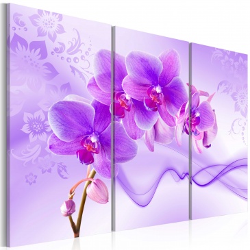 Obraz - Eteryczna orchidea - fiolet (60x40 cm)