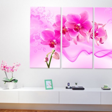 Obraz - Eteryczna orchidea - róż (60x40 cm)