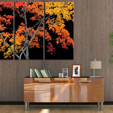 Obraz - Jesienna zaduma (60x40 cm)