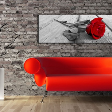 Obraz - Karminowa róża (120x40 cm)