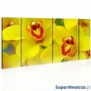 Obraz - Orchids - intensity of yellow color (60x30 cm)