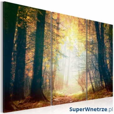 Obraz - Piękno jesieni - tryptyk (60x40 cm)