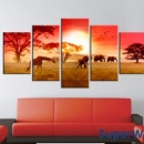 Obraz - Słoneczne kolory Afryki (100x50 cm)