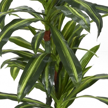 Sztuczna roślina Dracena 130cm