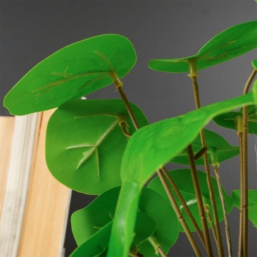 Sztuczna roślina w doniczce dekoracyjna pilea pieniążek 24 cm