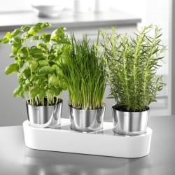 Zestaw 3 doniczek na zioła WMF Gourmet Zestaw 3 doniczek na zioła WMF Gourmet